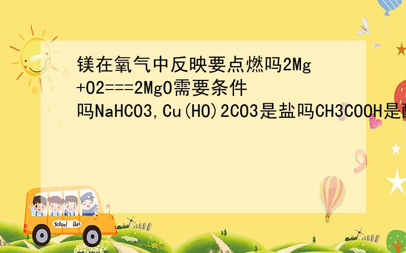 镁在氧气中反映要点燃吗2Mg+O2===2MgO需要条件吗NaHCO3,Cu(HO)2CO3是盐吗CH3COOH是酸吗