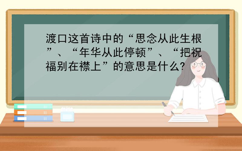 渡口这首诗中的“思念从此生根”、“年华从此停顿”、“把祝福别在襟上”的意思是什么?