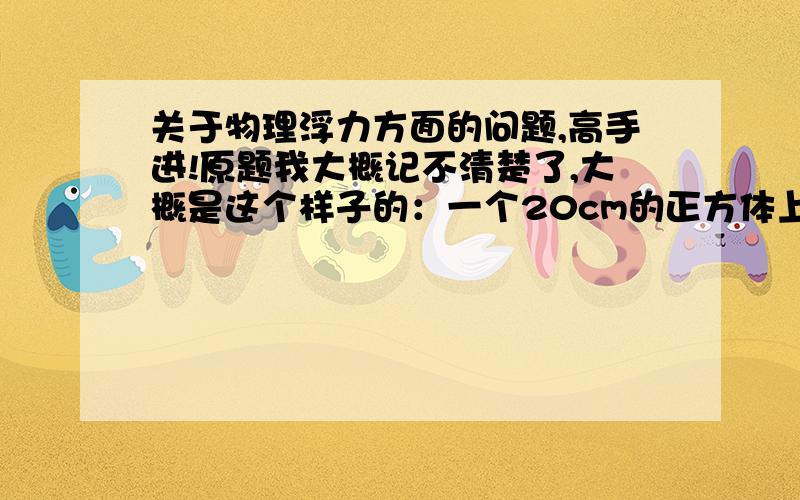 关于物理浮力方面的问题,高手进!原题我大概记不清楚了,大概是这个样子的：一个20cm的正方体上插一根管子,并向管子中注水,当管子中的水面离正方体表面距离30cm时停止注水,问：水对容器