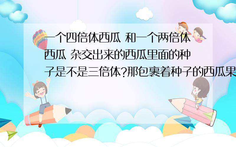 一个四倍体西瓜 和一个两倍体西瓜 杂交出来的西瓜里面的种子是不是三倍体?那包裹着种子的西瓜果实是几倍体?我有点糊了