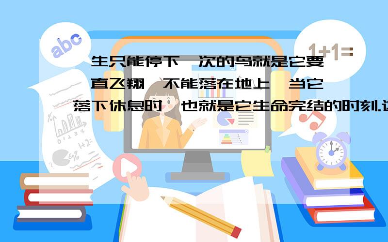 一生只能停下一次的鸟就是它要一直飞翔、不能落在地上、当它落下休息时、也就是它生命完结的时刻.这是什么鸟啊?