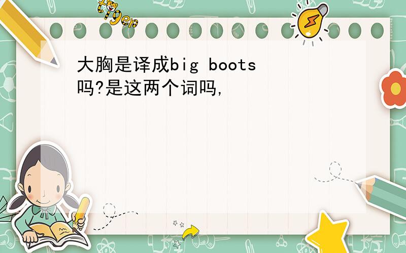 大胸是译成big boots吗?是这两个词吗,