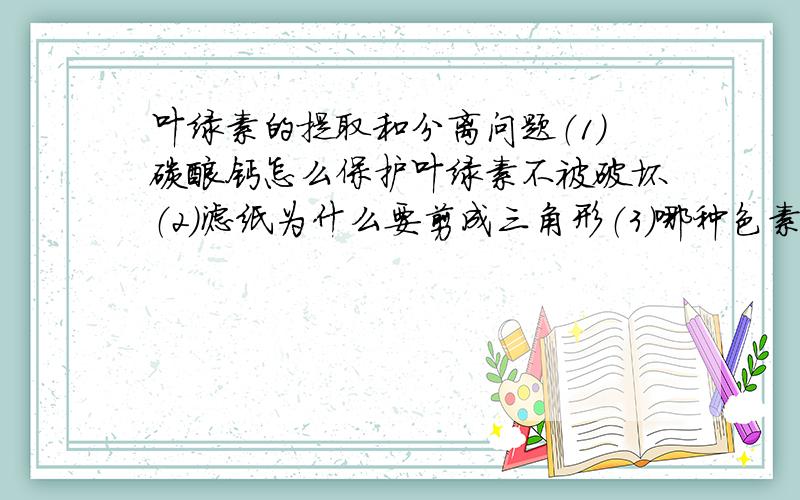 叶绿素的提取和分离问题（1）碳酸钙怎么保护叶绿素不被破坏（2）滤纸为什么要剪成三角形（3）哪种色素溶解度最大