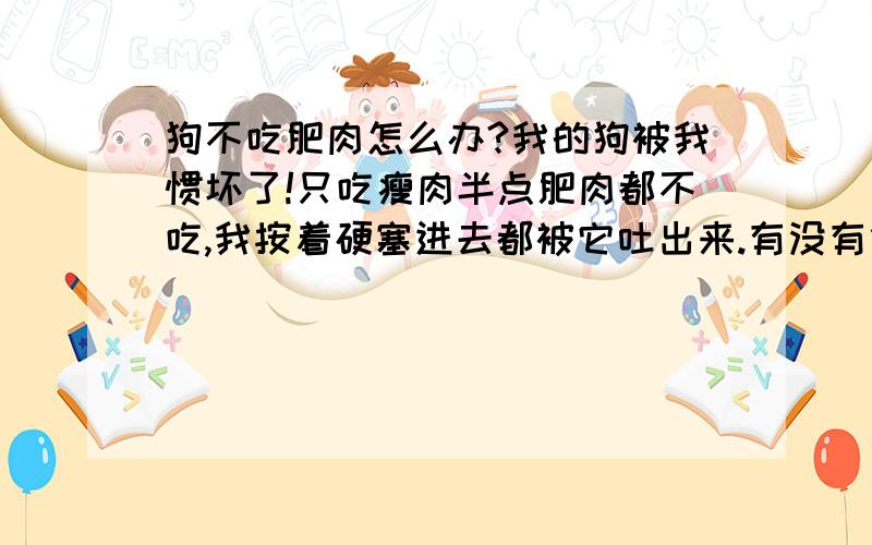 狗不吃肥肉怎么办?我的狗被我惯坏了!只吃瘦肉半点肥肉都不吃,我按着硬塞进去都被它吐出来.有没有什么办法让它吃又不用饿它.我不忍心看它挨饿.