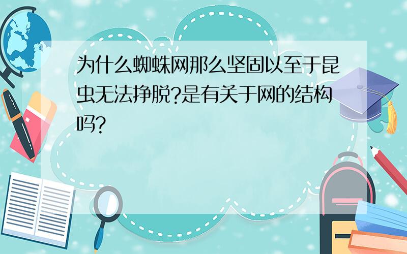 为什么蜘蛛网那么坚固以至于昆虫无法挣脱?是有关于网的结构吗?