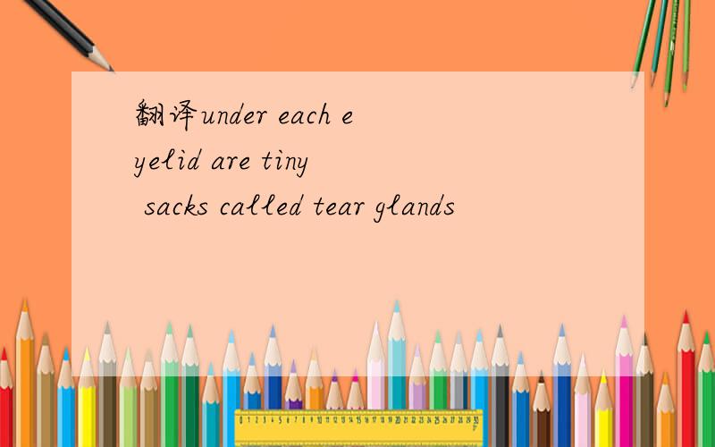翻译under each eyelid are tiny sacks called tear glands