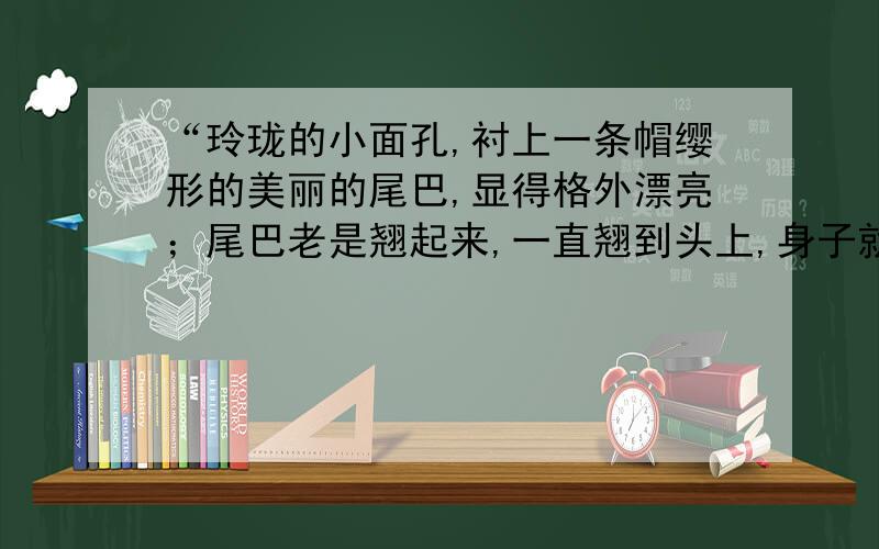 “玲珑的小面孔,衬上一条帽缨形的美丽的尾巴,显得格外漂亮；尾巴老是翘起来,一直翘到头上,身子就躲在尾巴底下歇凉底下歇凉.”的“衬”字好在哪里?请你说说你的看法