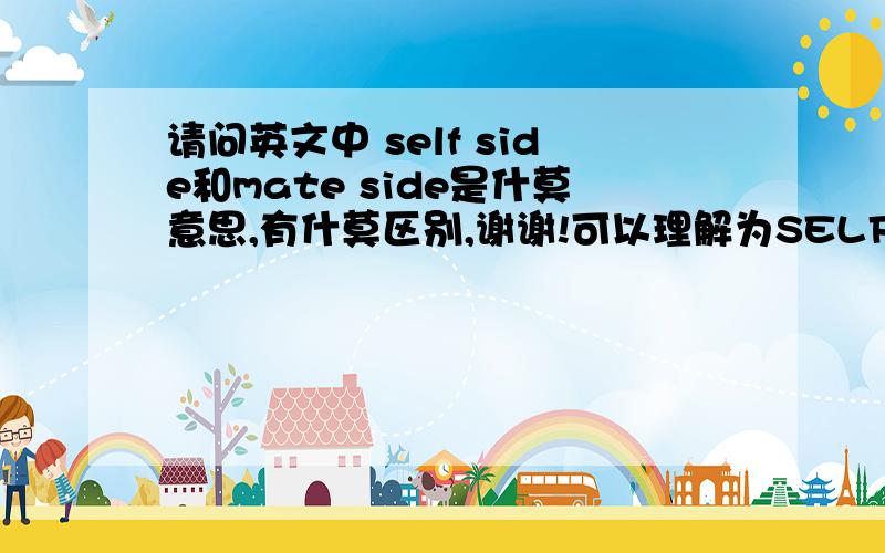 请问英文中 self side和mate side是什莫意思,有什莫区别,谢谢!可以理解为SELF SIDE为同一侧或自己这一侧，MATE SIDE为另一侧吗