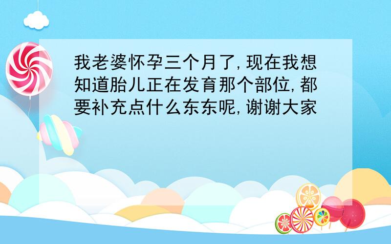 我老婆怀孕三个月了,现在我想知道胎儿正在发育那个部位,都要补充点什么东东呢,谢谢大家