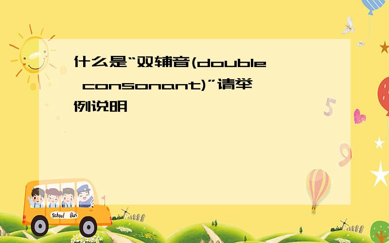 什么是“双辅音(double consonant)”请举例说明