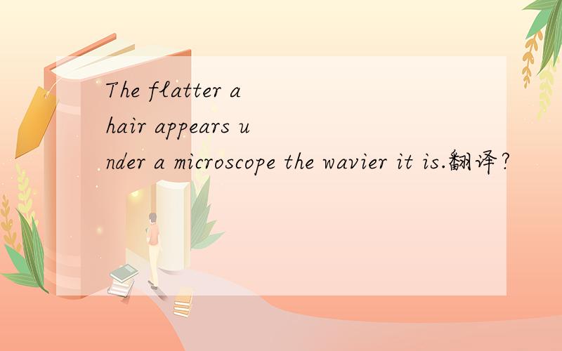 The flatter a hair appears under a microscope the wavier it is.翻译?