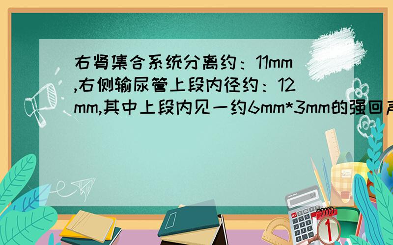 右肾集合系统分离约：11mm,右侧输尿管上段内径约：12mm,其中上段内见一约6mm*3mm的强回声光团,后方伴声影下段因腹腔气体影响显示不清,膀胱充盈不满意,显示不清.超声波提示：右肾积水,右侧