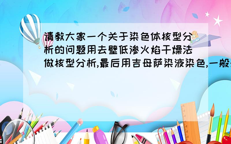 请教大家一个关于染色体核型分析的问题用去壁低渗火焰干燥法做核型分析,最后用吉母萨染液染色,一般来讲好象应该是细胞质颜色极浅,然后细胞核为紫红色,染色体为黑色..我想请问大家是