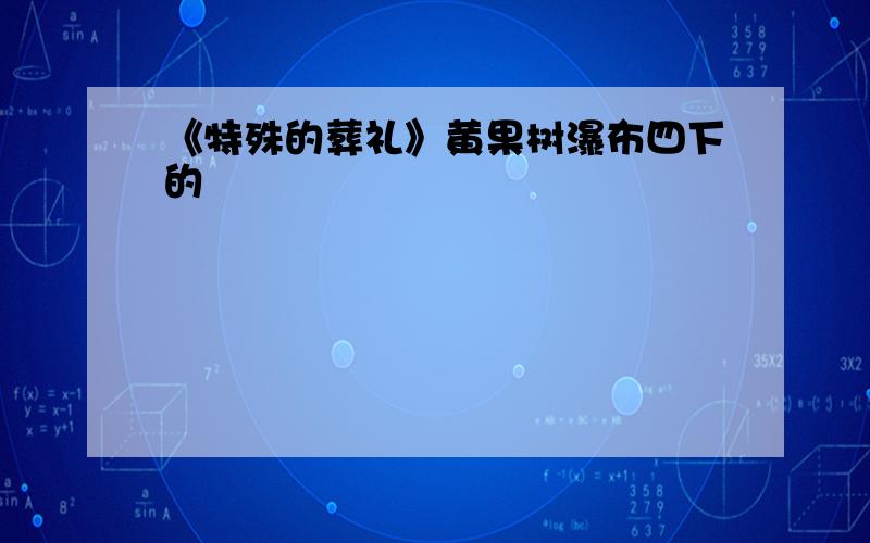 《特殊的葬礼》黄果树瀑布四下的