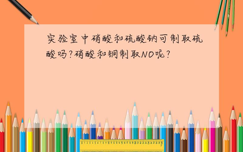 实验室中硝酸和硫酸钠可制取硫酸吗?硝酸和铜制取NO呢?