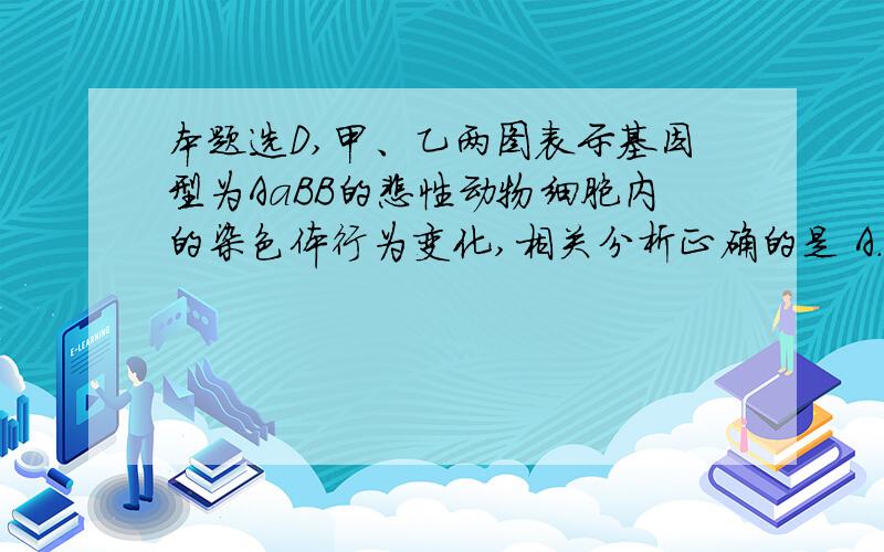 本题选D,甲、乙两图表示基因型为AaBB的雌性动物细胞内的染色体行为变化,相关分析正确的是 A．甲、乙分别为有丝分裂、减数分裂的染色体行为变化B．甲图中,e→a表示在分裂间期发生的染色