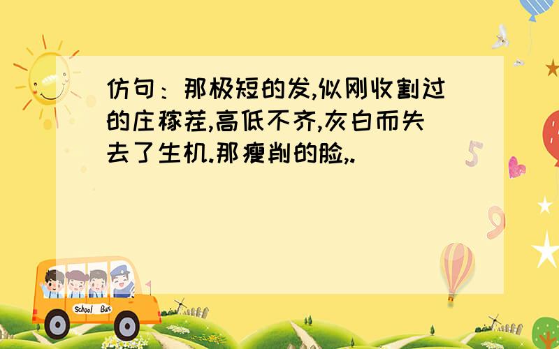 仿句：那极短的发,似刚收割过的庄稼茬,高低不齐,灰白而失去了生机.那瘦削的脸,.