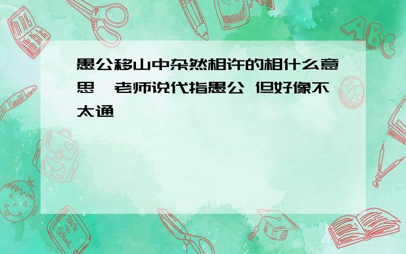 愚公移山中杂然相许的相什么意思,老师说代指愚公 但好像不太通