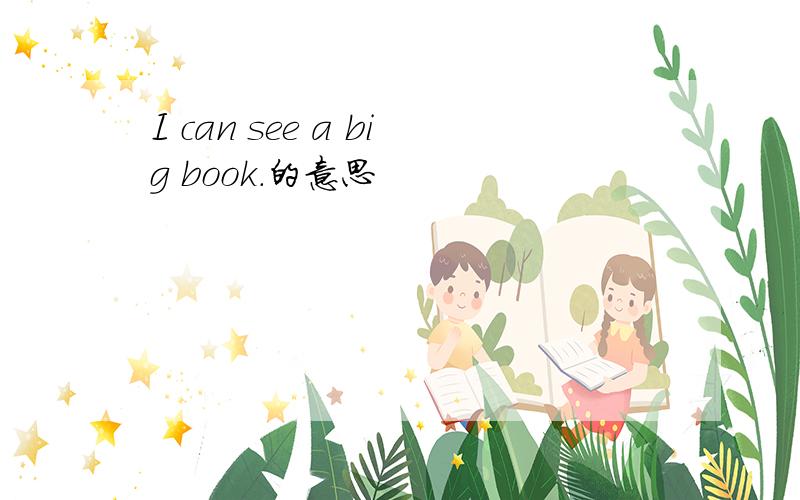 I can see a big book.的意思