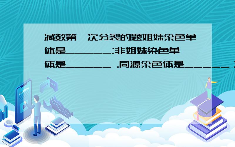 减数第一次分裂的题姐妹染色单体是_____;非姐妹染色单体是_____ .同源染色体是_____；非同源染色体是______.四分体有__个.