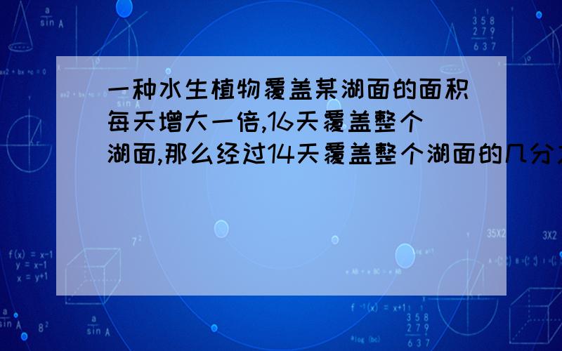 一种水生植物覆盖某湖面的面积每天增大一倍,16天覆盖整个湖面,那么经过14天覆盖整个湖面的几分之几?