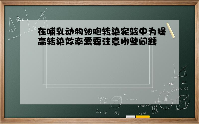 在哺乳动物细胞转染实验中为提高转染效率需要注意哪些问题