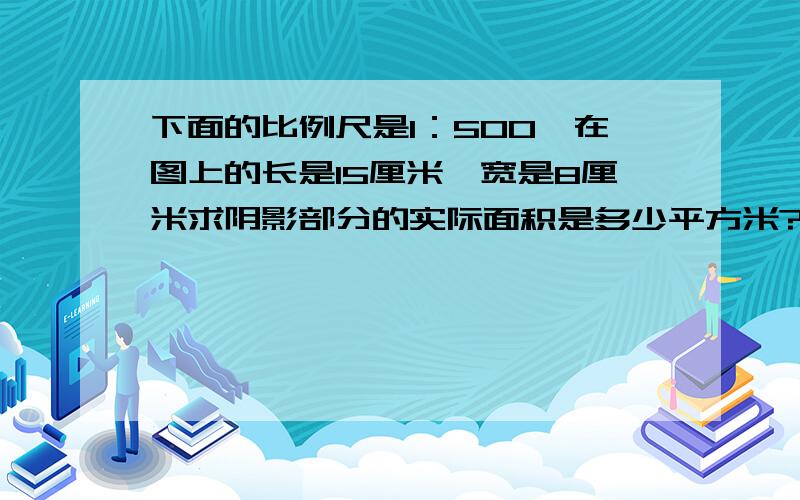 下面的比例尺是1：500,在图上的长是15厘米,宽是8厘米求阴影部分的实际面积是多少平方米?就是求那两个三角形放大后的面积