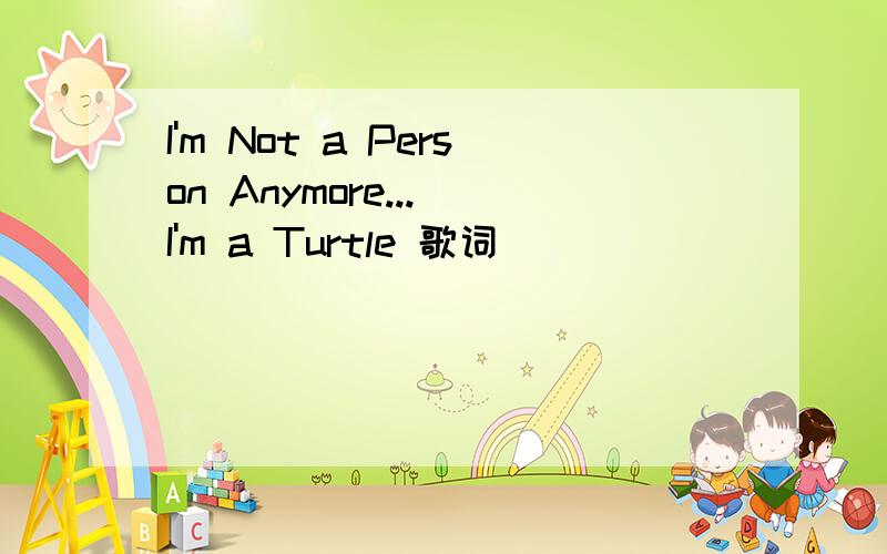 I'm Not a Person Anymore... I'm a Turtle 歌词