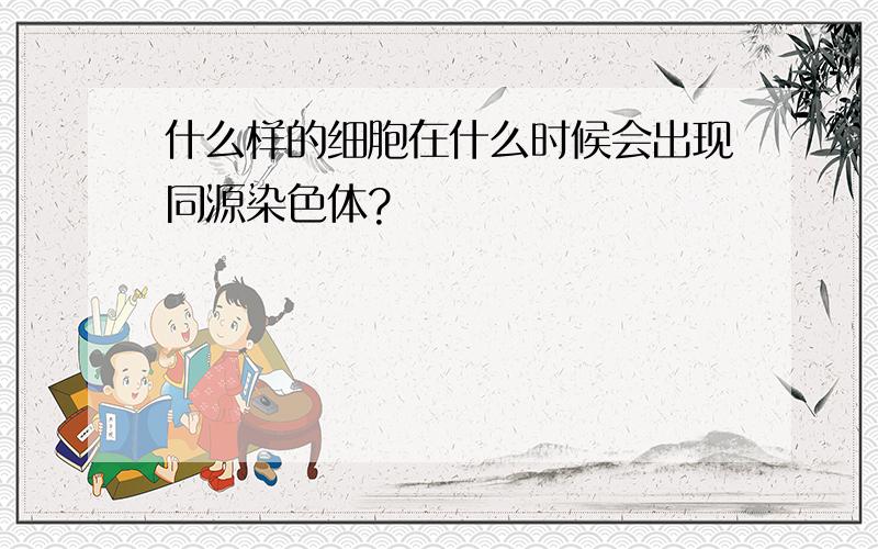 什么样的细胞在什么时候会出现同源染色体?