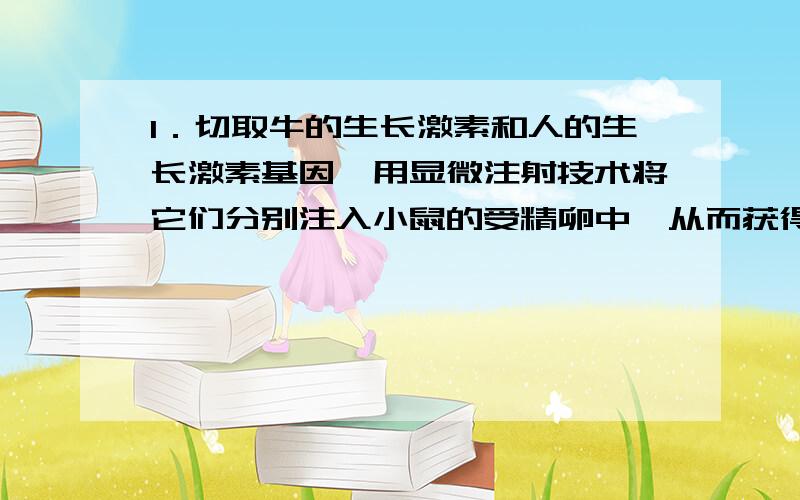 1．切取牛的生长激素和人的生长激素基因,用显微注射技术将它们分别注入小鼠的受精卵中,从而获得了“超级鼠”,此项技术遵循的原理是 （ ）A．基因突变：DNA→RNA→蛋白质 B．基因工程：R