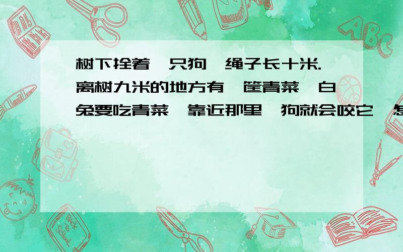 树下拴着一只狗,绳子长十米.离树九米的地方有一筐青菜,白兔要吃青菜一靠近那里,狗就会咬它,怎么吃到