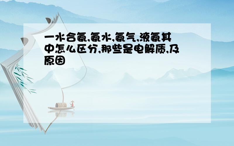 一水合氨,氨水,氨气,液氨其中怎么区分,那些是电解质,及原因