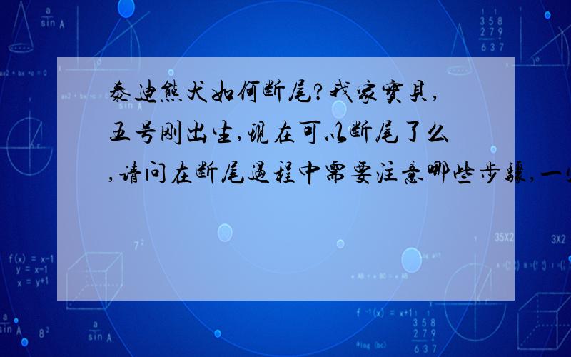 泰迪熊犬如何断尾?我家宝贝,五号刚出生,现在可以断尾了么,请问在断尾过程中需要注意哪些步骤,一定要详细,非常着急,