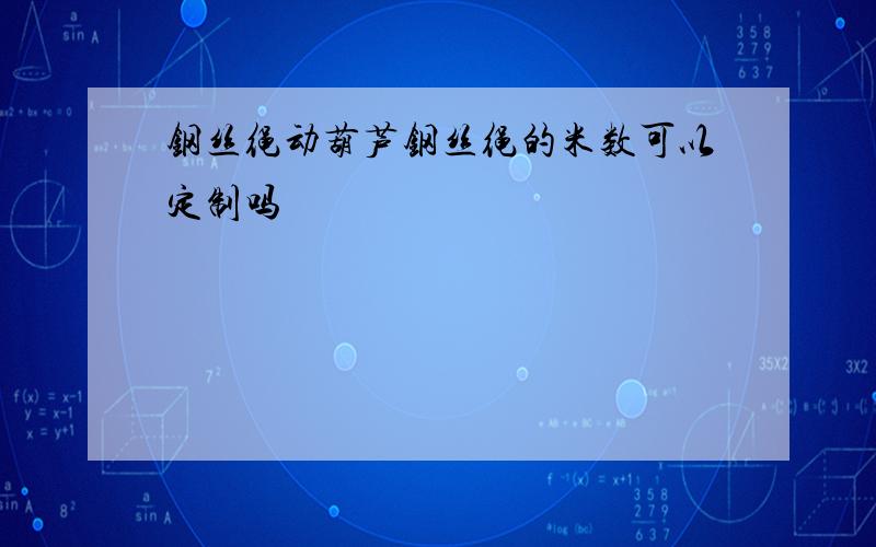 钢丝绳动葫芦钢丝绳的米数可以定制吗