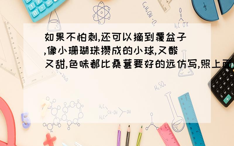 如果不怕刺,还可以摘到覆盆子,像小珊瑚珠攒成的小球,又酸又甜,色味都比桑葚要好的远仿写,照上面的句式“如果...还可以...像...都...”写一段话,