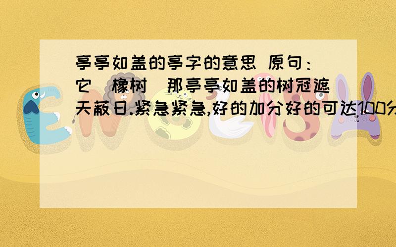 亭亭如盖的亭字的意思 原句：它（橡树）那亭亭如盖的树冠遮天蔽日.紧急紧急,好的加分好的可达100分，我豁出去了，最多200，再来好点的吧，