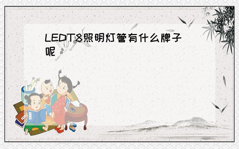 LEDT8照明灯管有什么牌子呢