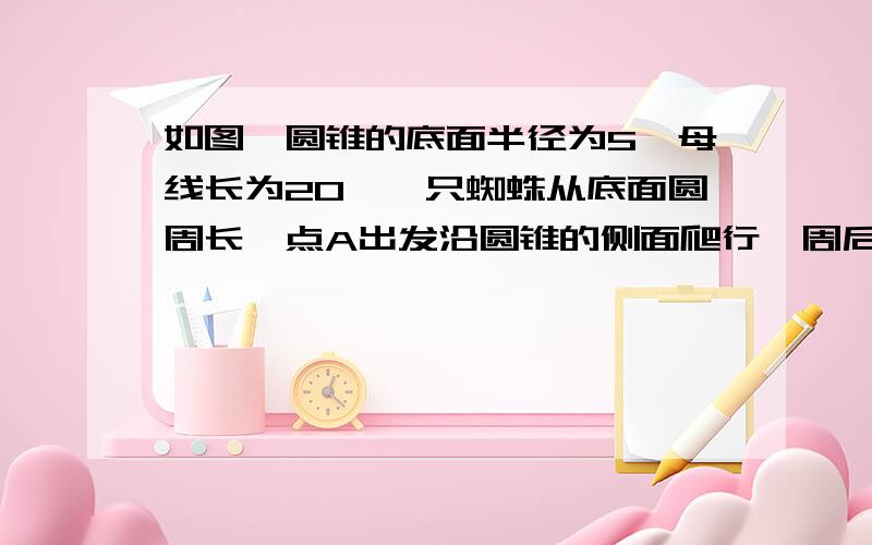 如图,圆锥的底面半径为5,母线长为20,一只蜘蛛从底面圆周长一点A出发沿圆锥的侧面爬行一周后回到点A的最短路程是 A8 B10 C15 D20