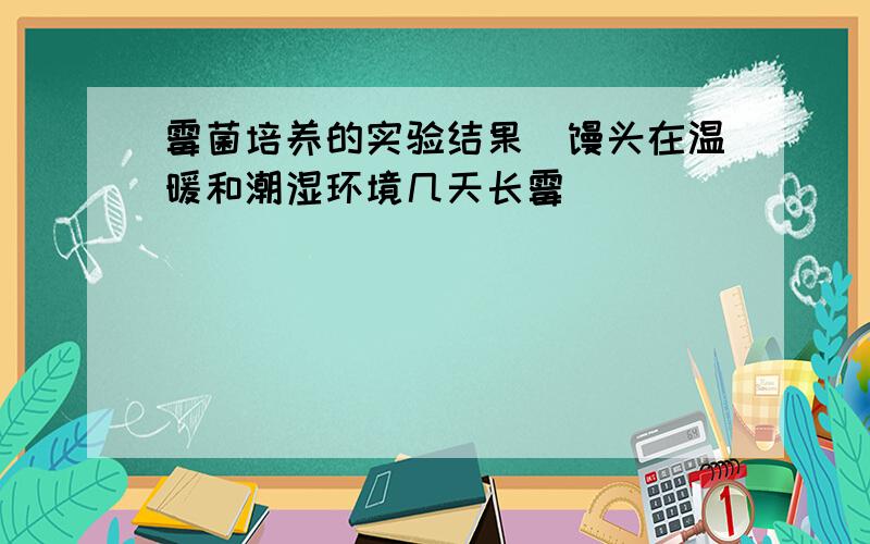 霉菌培养的实验结果（馒头在温暖和潮湿环境几天长霉）