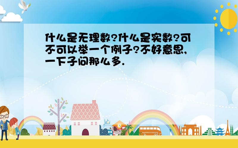 什么是无理数?什么是实数?可不可以举一个例子?不好意思,一下子问那么多.