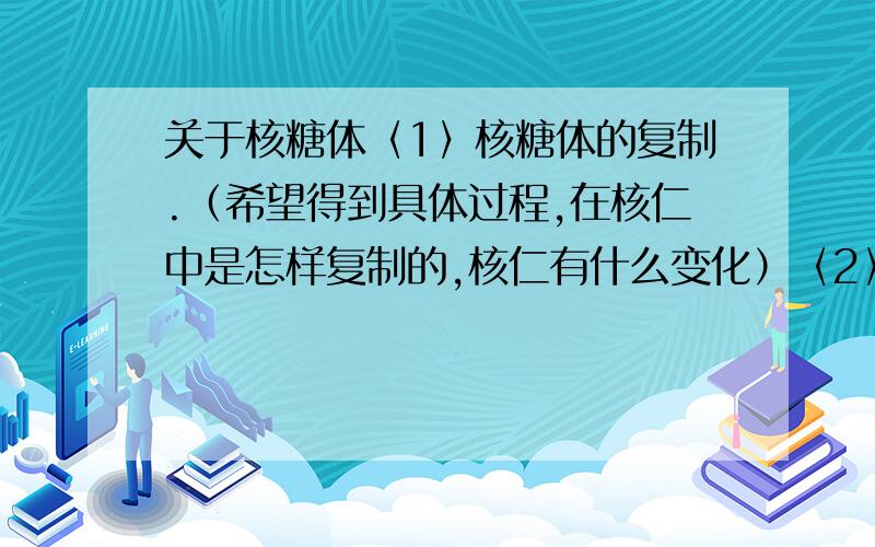 关于核糖体〈1〉核糖体的复制.（希望得到具体过程,在核仁中是怎样复制的,核仁有什么变化）〈2〉RNA的翻译是否是一个核糖体翻译一条mRNA,还是多条一起.〈3〉核糖体的结构算是一种RNA还是