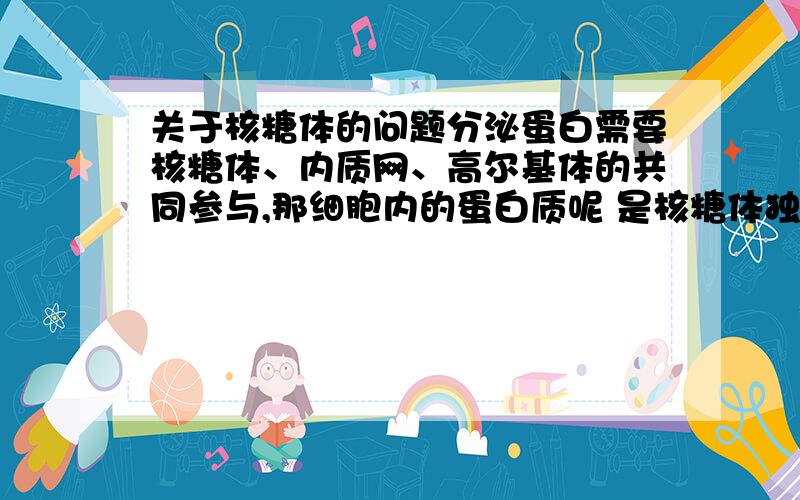 关于核糖体的问题分泌蛋白需要核糖体、内质网、高尔基体的共同参与,那细胞内的蛋白质呢 是核糖体独立合成的吗,如果是,那高中教材说的翻译过程怎么只是说在核糖体中合成肽链啊,如果