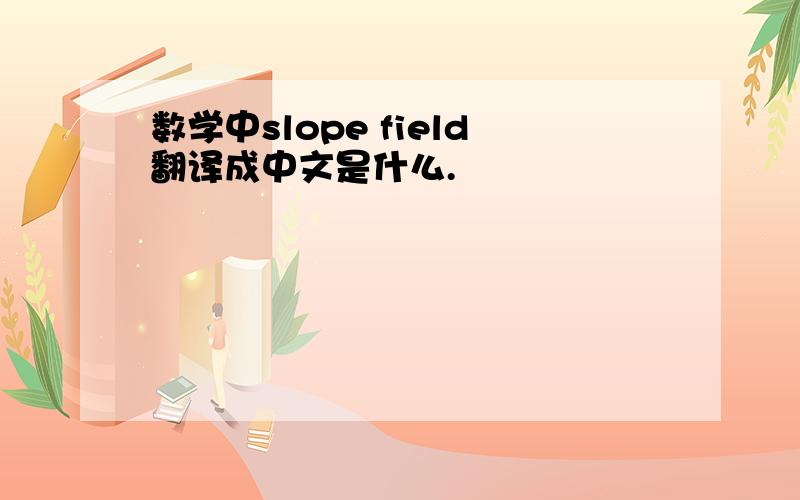 数学中slope field翻译成中文是什么.