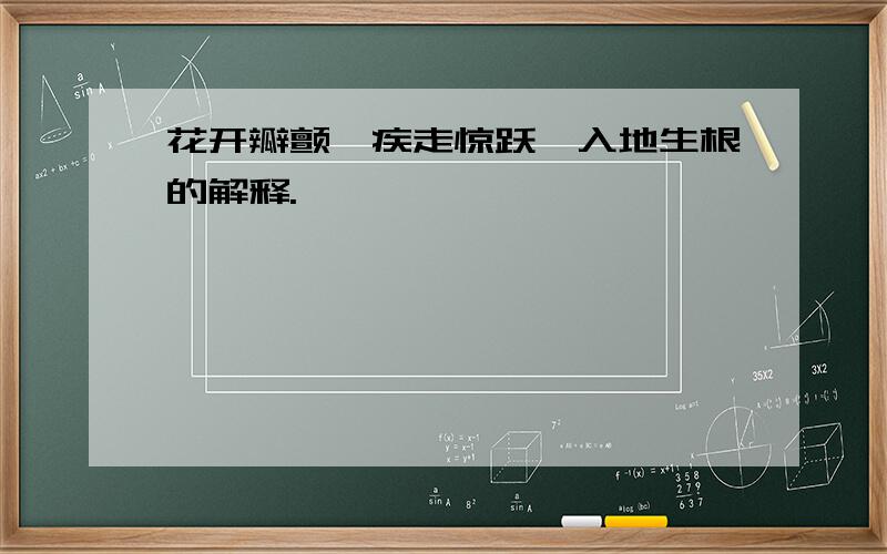 花开瓣颤、疾走惊跃、入地生根的解释.