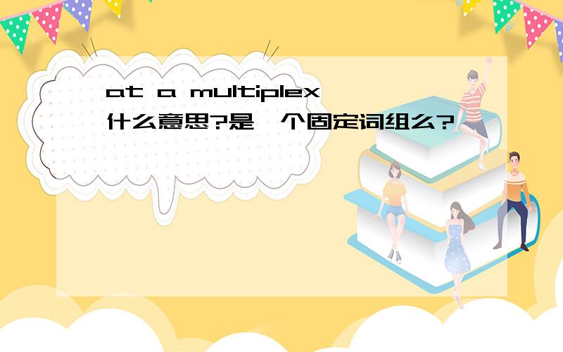 at a multiplex什么意思?是一个固定词组么?