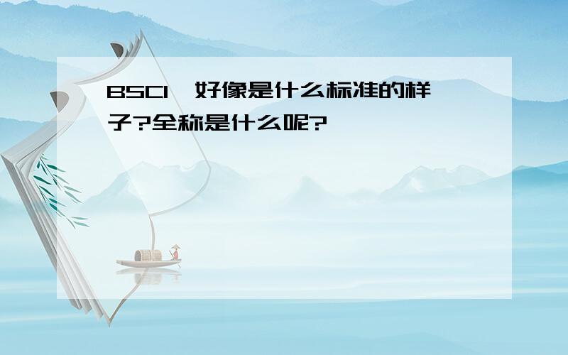 BSCI,好像是什么标准的样子?全称是什么呢?