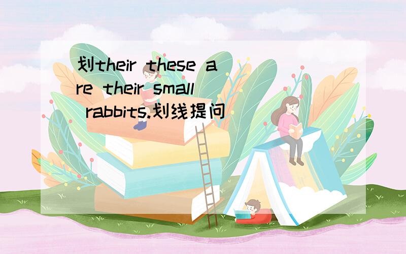 划their these are their small rabbits.划线提问