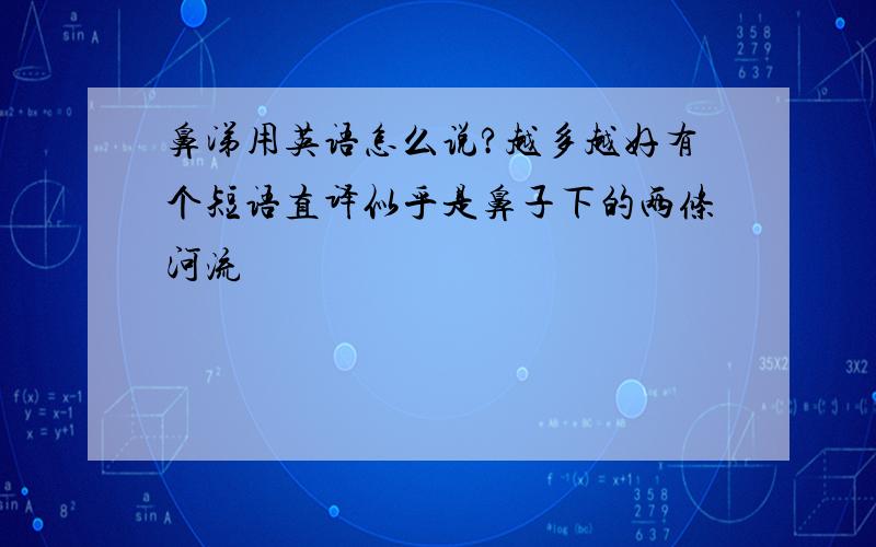 鼻涕用英语怎么说?越多越好有个短语直译似乎是鼻子下的两条河流