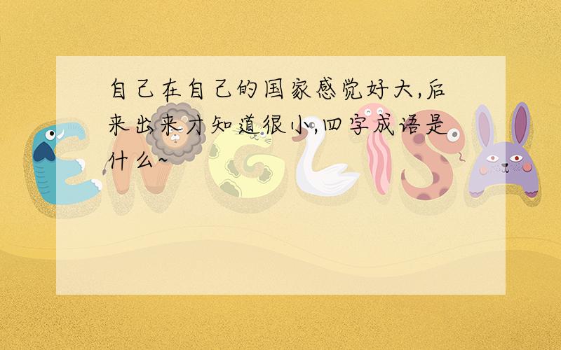 自己在自己的国家感觉好大,后来出来才知道很小,四字成语是什么~