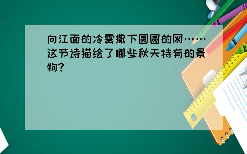 向江面的冷雾撒下圆圆的网……这节诗描绘了哪些秋天特有的景物?